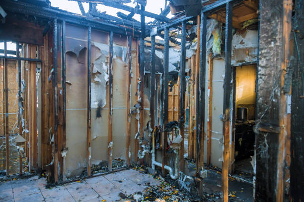 Professional Fire Damage Removal technician working in Ronkonkoma, NY